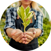 Programas de Educação Ambiental